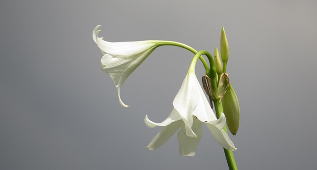 gpw sector analysis deep dive volatility